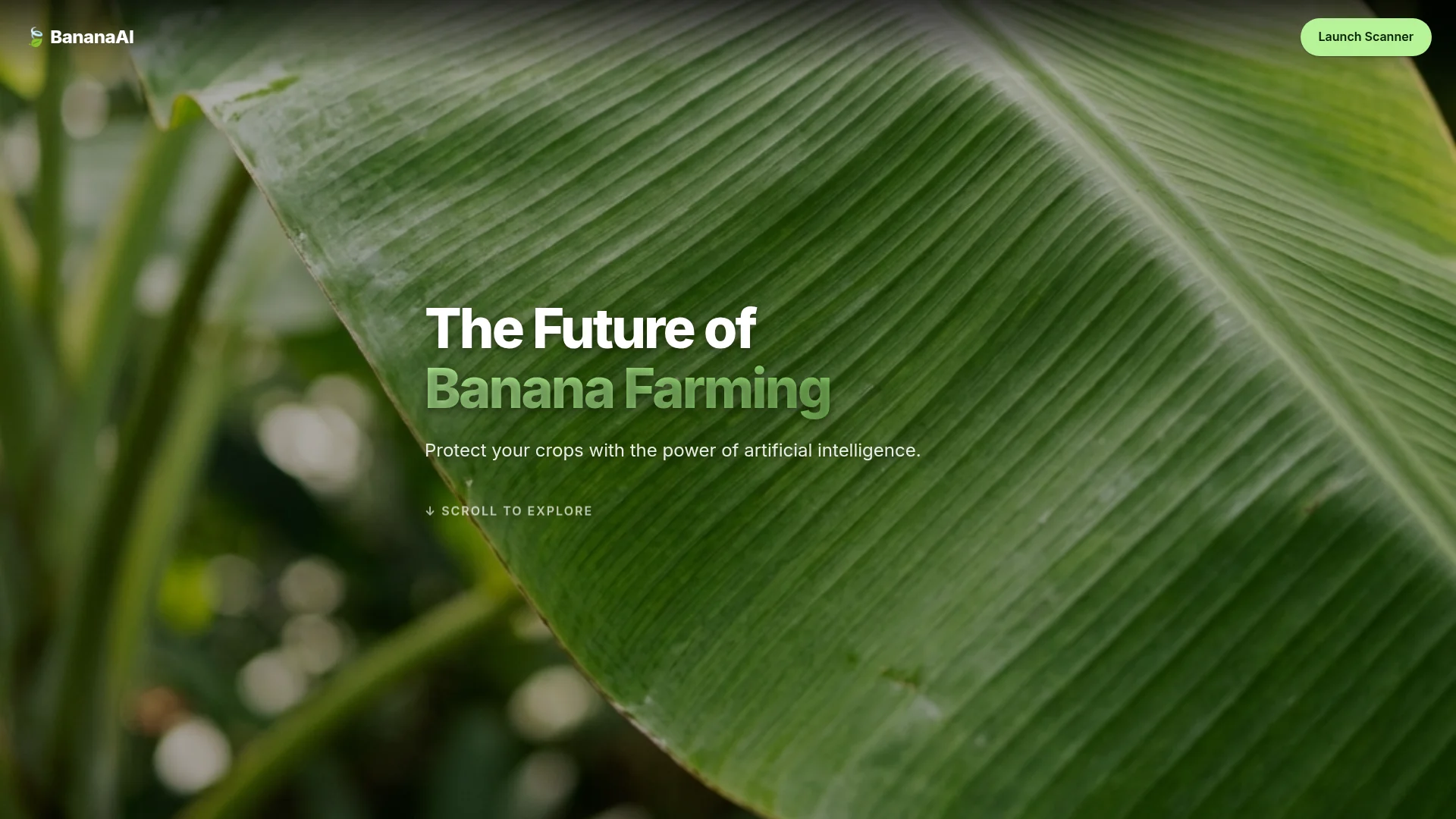 BANANA LEAF DETECTOR preview